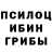 Галлюциногенные грибы Psilocybe Myktybek Sapakov